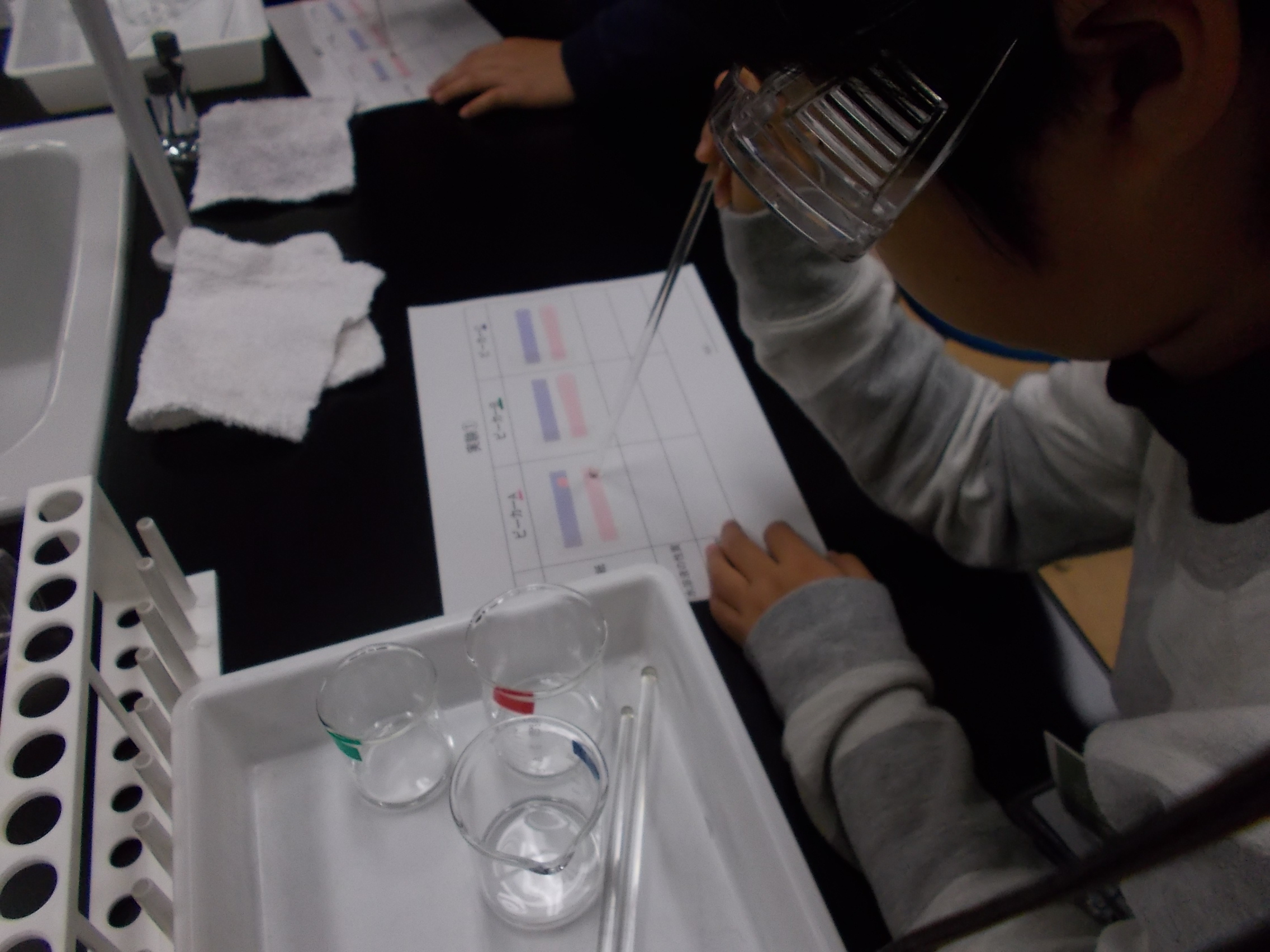 水溶液の性質を調べる実験
