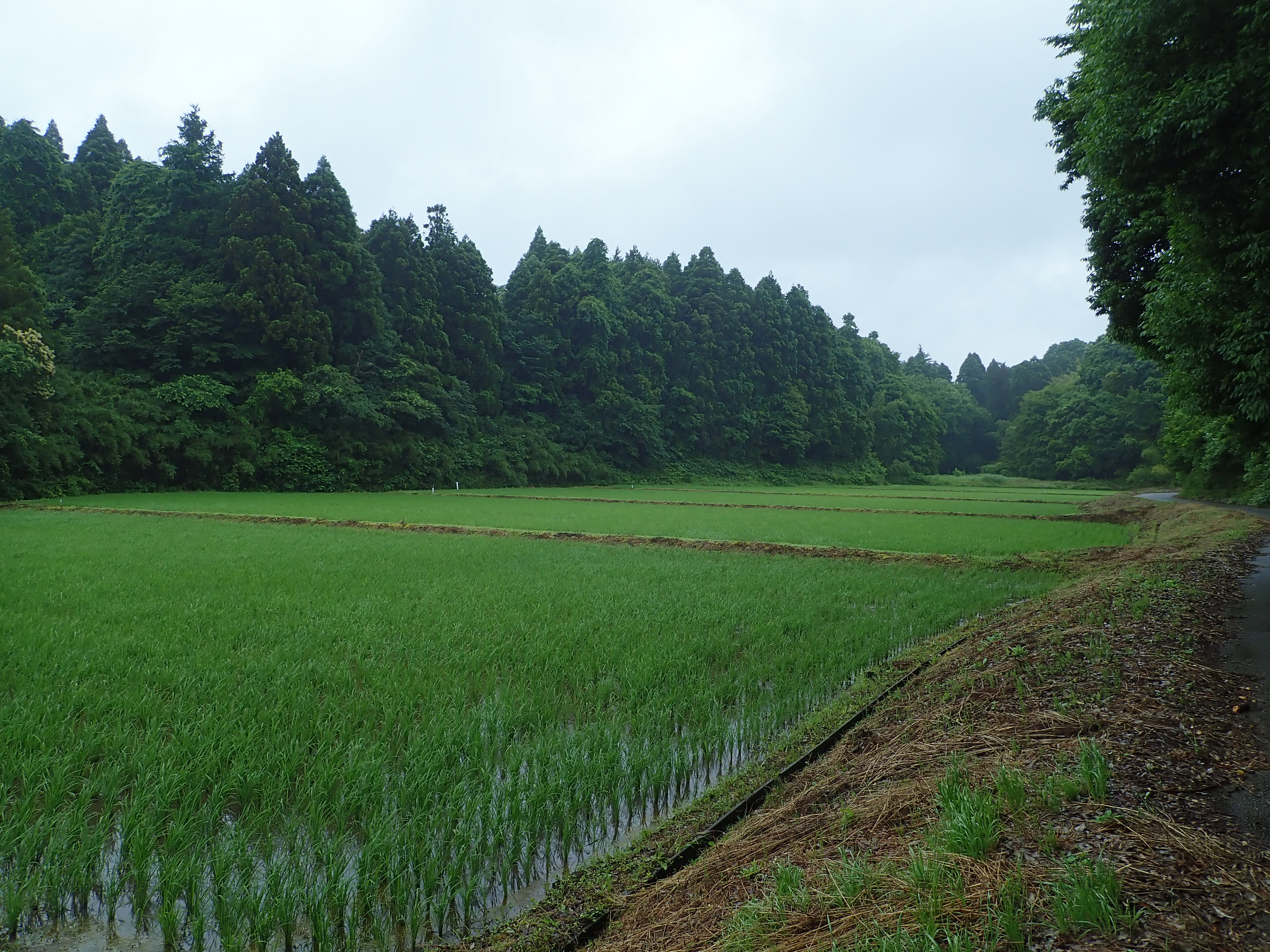 里山「堂谷津の里」